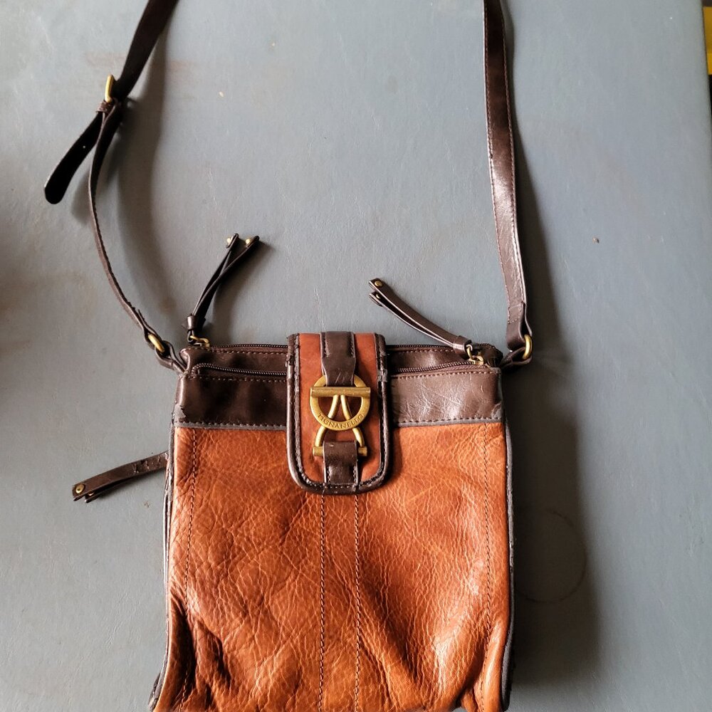 Tignanello Crossbody Bag